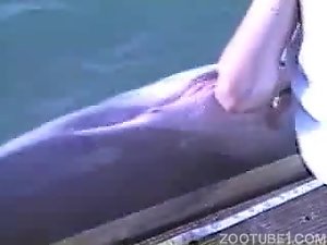Fiz zoofilia com golfinho cheio de tesão