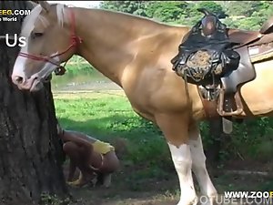 Cavalo bonito bege fodendo mulher baixinha