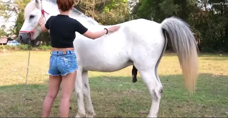 Magrinha tesuda e seu cavalo branco transando