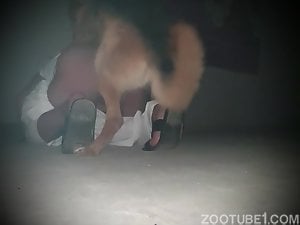 Video porno de gay brincando com a rola GG do cachorro